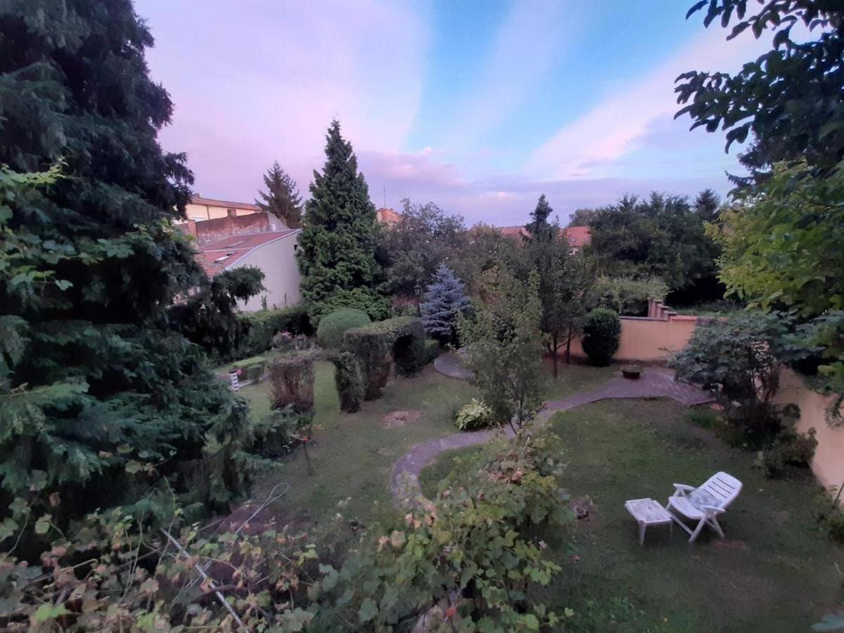 Cocic Garden Apartman Eszék Kültér fotó