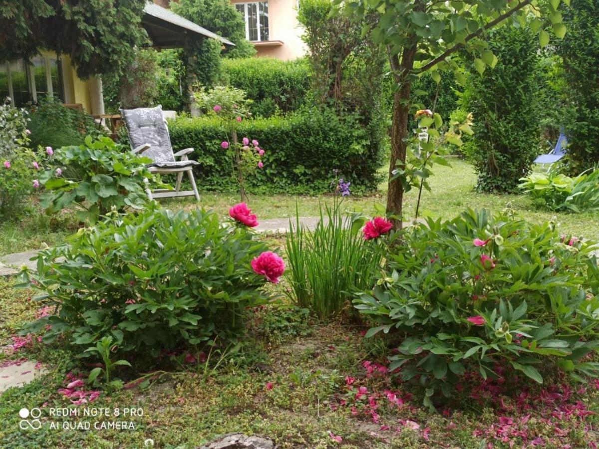 Cocic Garden Apartman Eszék Kültér fotó