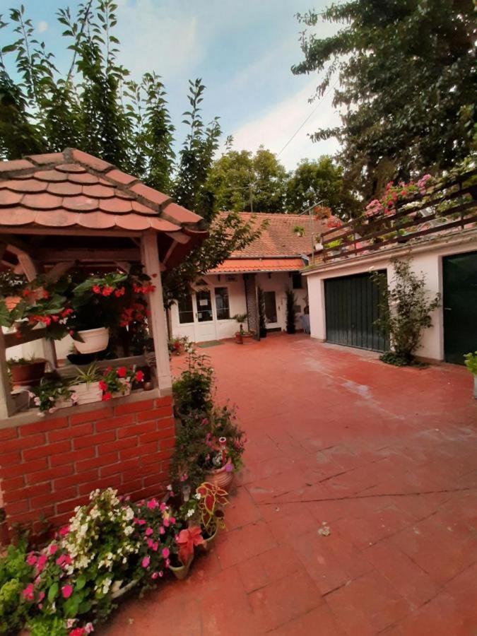 Cocic Garden Apartman Eszék Kültér fotó