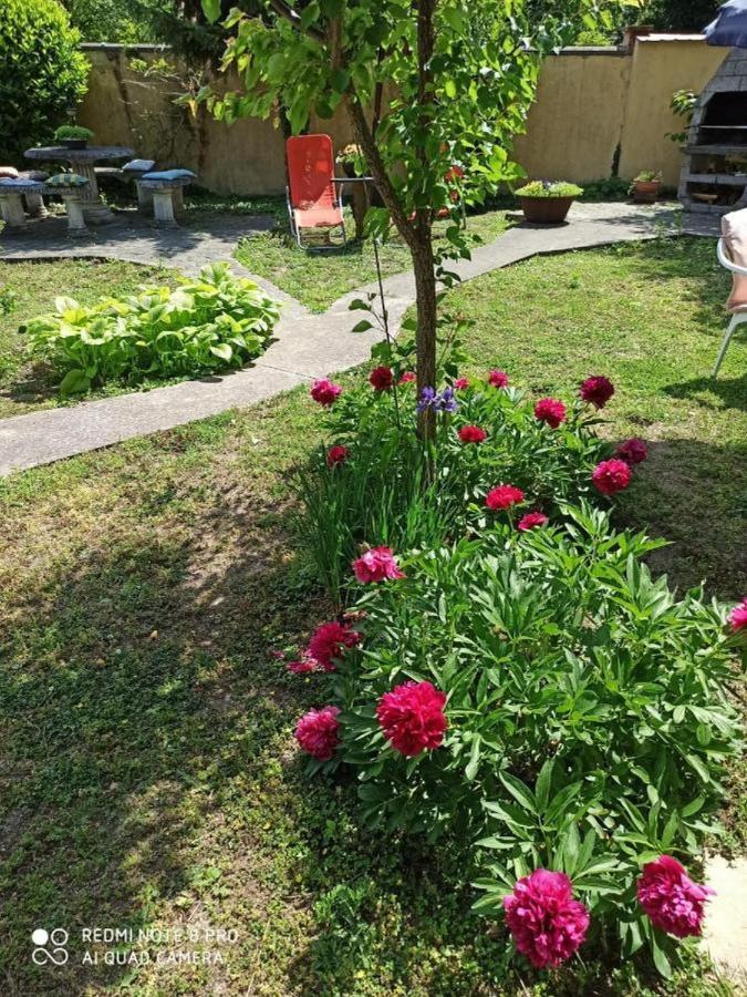 Cocic Garden Apartman Eszék Kültér fotó