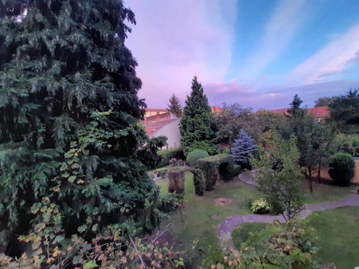 Cocic Garden Apartman Eszék Kültér fotó