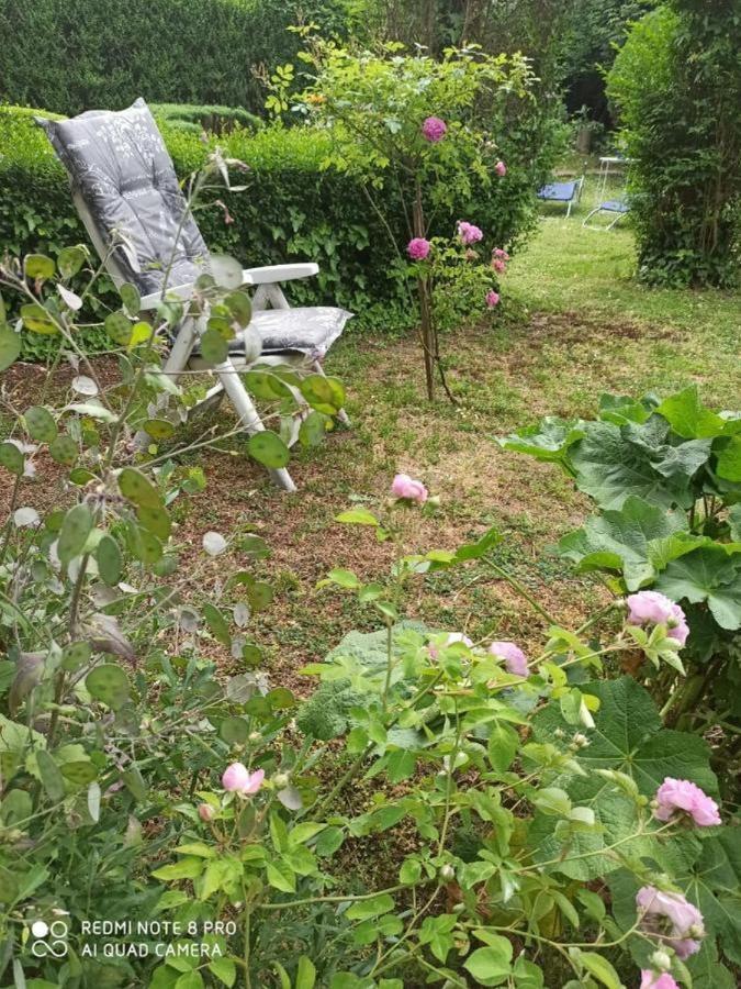Cocic Garden Apartman Eszék Kültér fotó