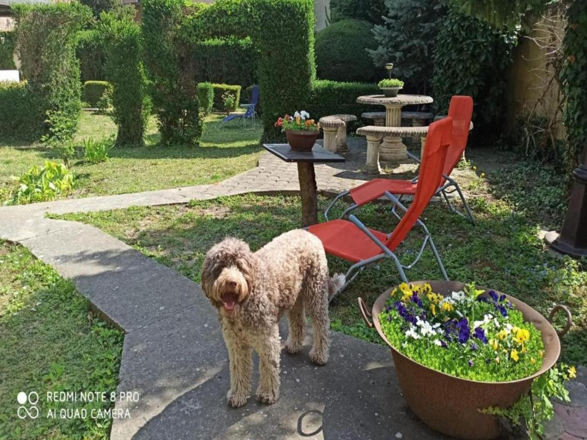 Cocic Garden Apartman Eszék Kültér fotó
